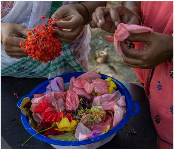 Sustainable and Enduring.