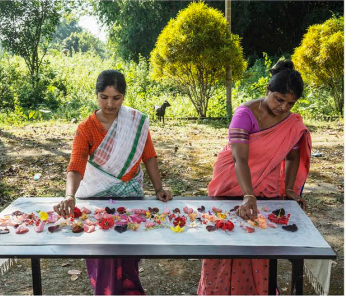 Sustainable and Enduring.